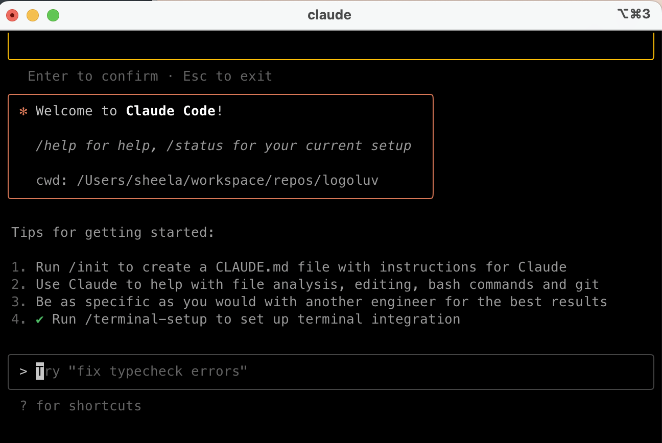 claude code terminal screen showing claude initialization